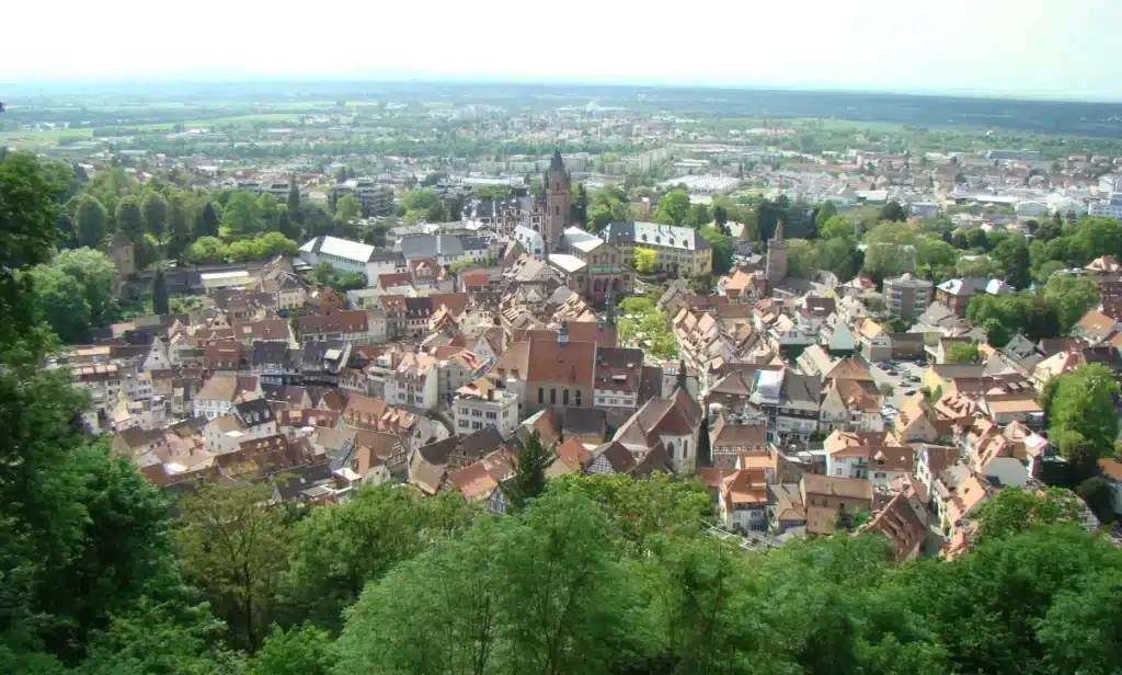 Luftaufnahme einer europäischen Stadt mit rotgedeckten Gebäuden, umgeben von Bäumen und weit entfernten Feldern.