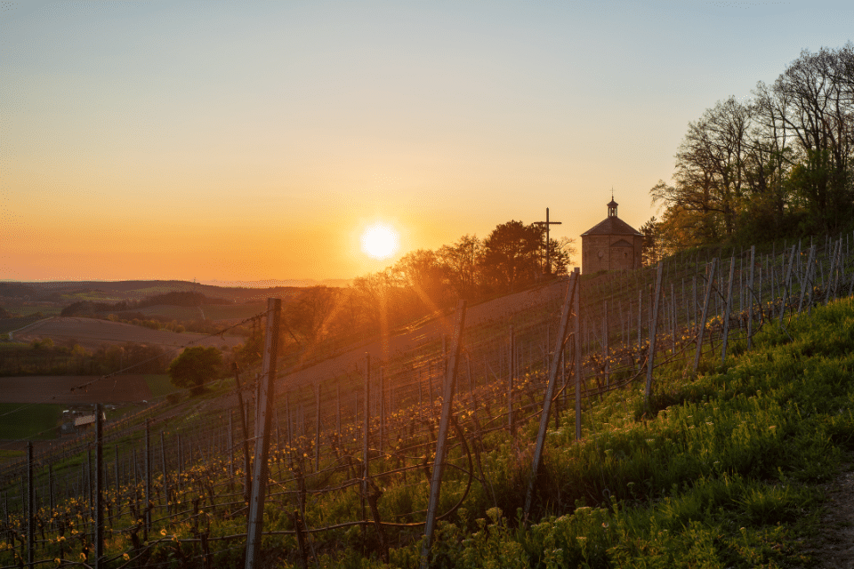 Kaufen Sie jetzt ihr Garagentor von Garagentore Weber in Östringen.